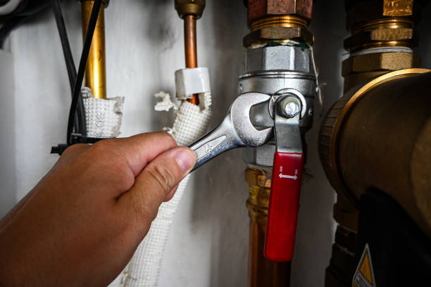 Best Same-Day Plumbing Service  in Ashwaubenon, WI